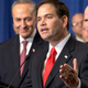 Image for article titled Senator Wants to Force New Immigrants to Speak English USA! USA! USA!